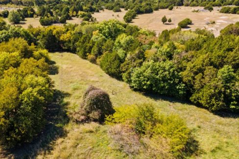 1198-south-clark-road-cedar-hill-tx-brush
