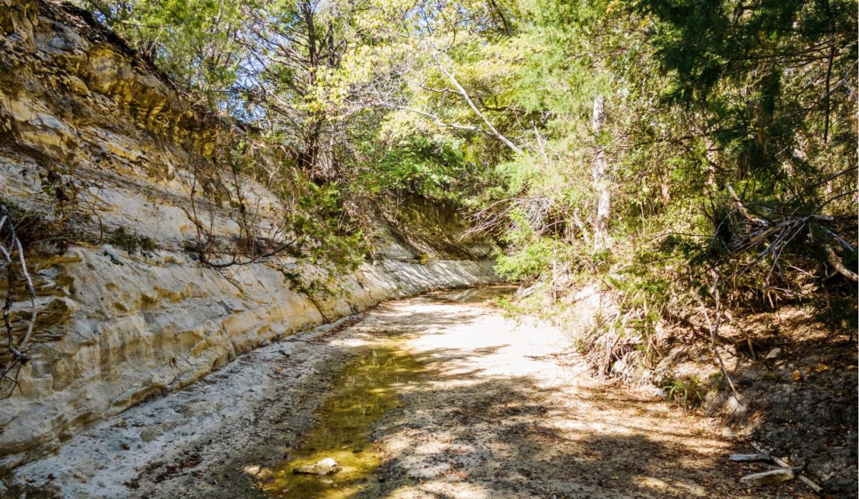 1198-south-clark-road-cedar-hill-tx-pathway