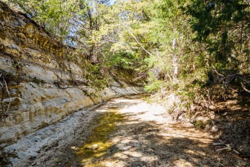 1198-south-clark-road-cedar-hill-tx-pathway