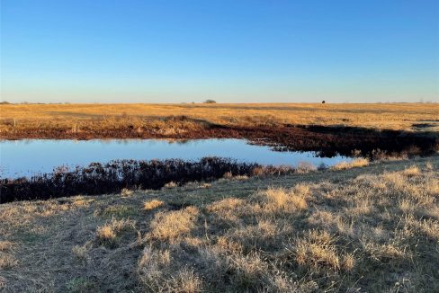 4427-fm-751-wills-point-tx-75169-10