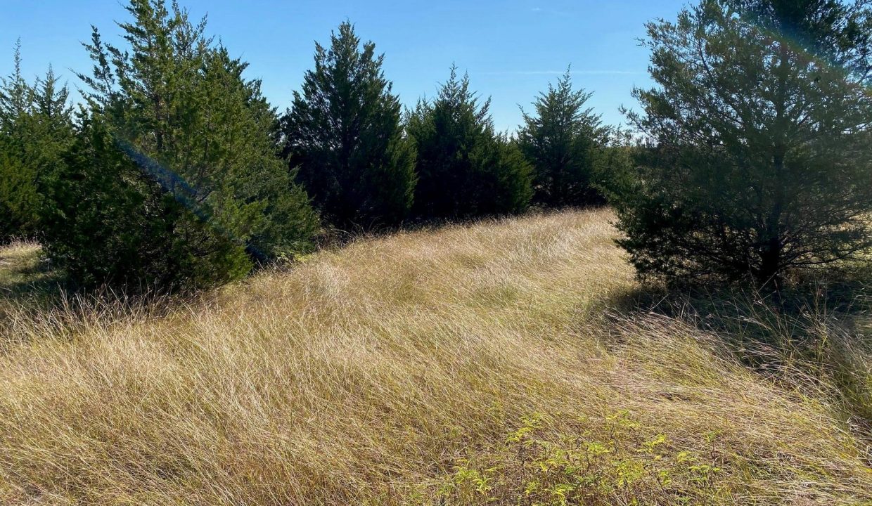 512-spyglass-court-heath-tx-75032-4