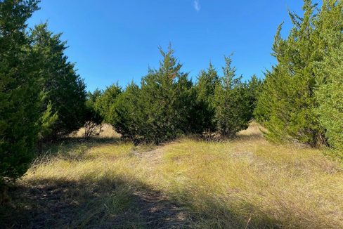 512-spyglass-court-heath-tx-75032-6